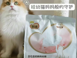 麦富迪奶弗羊奶鲜肉烘焙猫粮，科学喂养从“奶+肉”开始