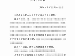  张倩妮刑事律师团队