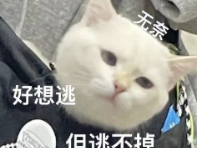 踏青不内耗，艾瑞泽8 PRO承包打工人的周末快乐