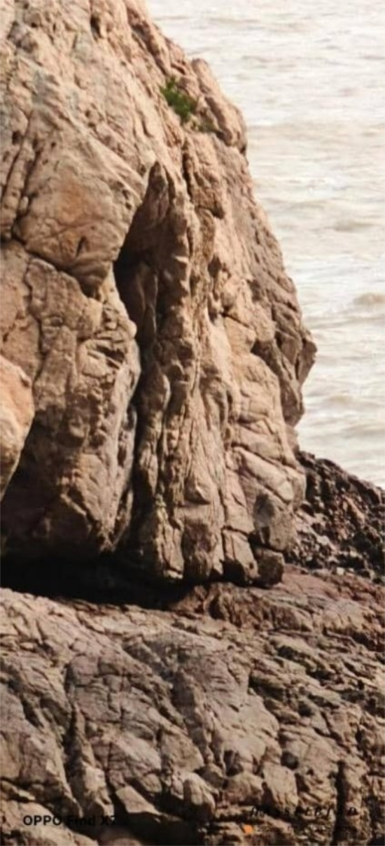 图片 (68).png 图片 (68).png