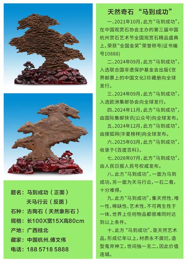 009.jpg